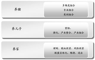 華彩管理咨詢 基于投資與產業(yè)組合戰(zhàn)略的集團管控——引領集團類咨詢服務