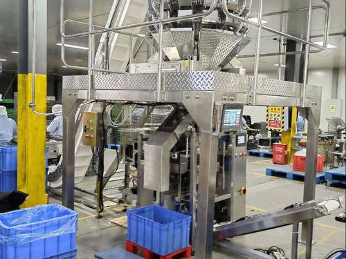 全自動膨化食品包裝設備品牌推薦 賦能蝦條、薯片、蝦片、鍋巴高效生產